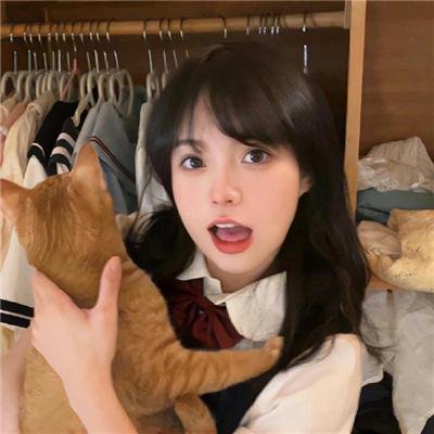 熊猫大侠