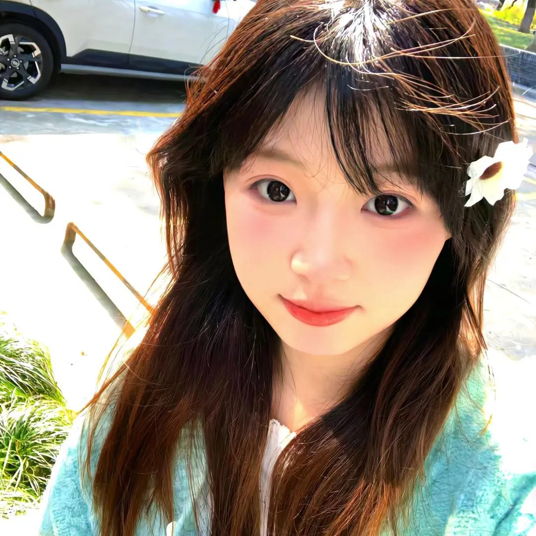 玫瑰的战争