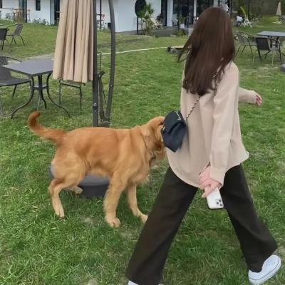 斯派德先生